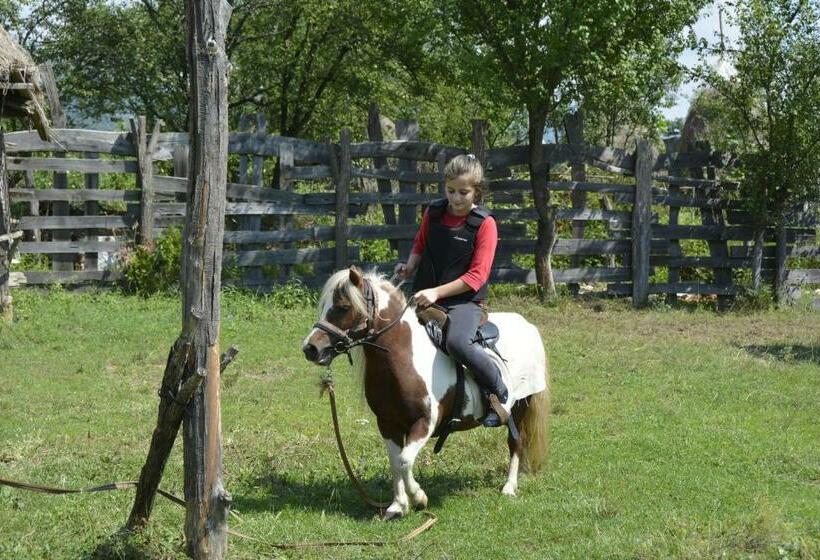 Hotel Agro Pensiunea Plaiul Castanilor