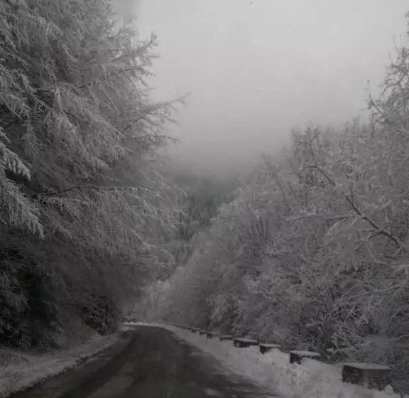 ホテル Hanul Haiducilor