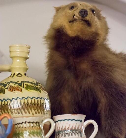 فندق Hanul Haiducilor