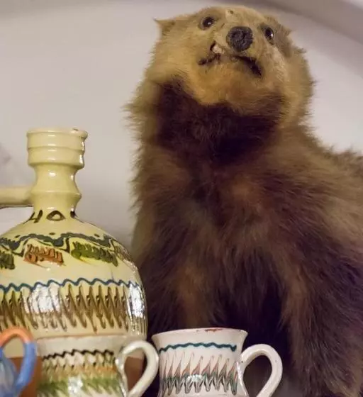 ホテル Hanul Haiducilor