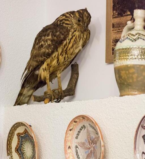 فندق Hanul Haiducilor