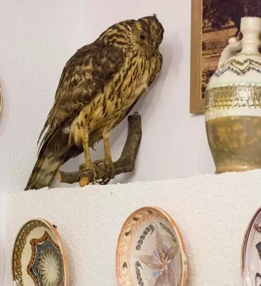 ホテル Hanul Haiducilor