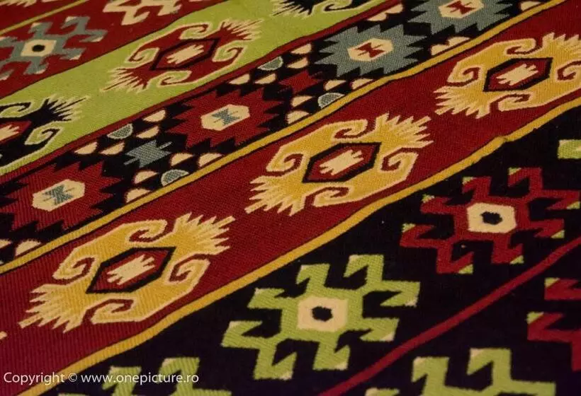 ホテル Hanul Haiducilor