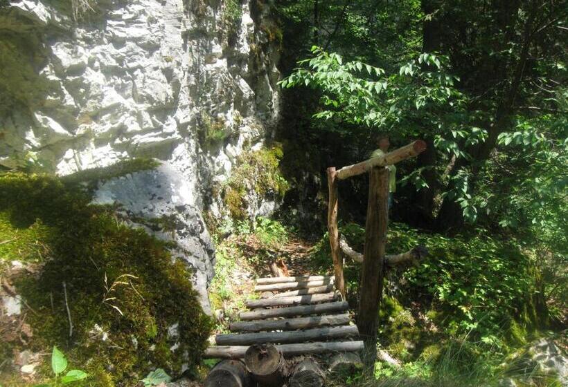 ホテル Yagodina Family