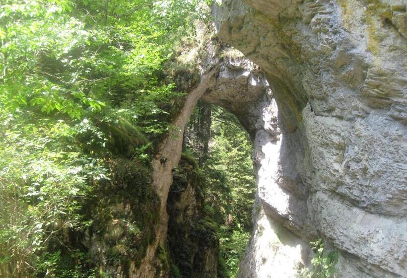 ホテル Yagodina Family