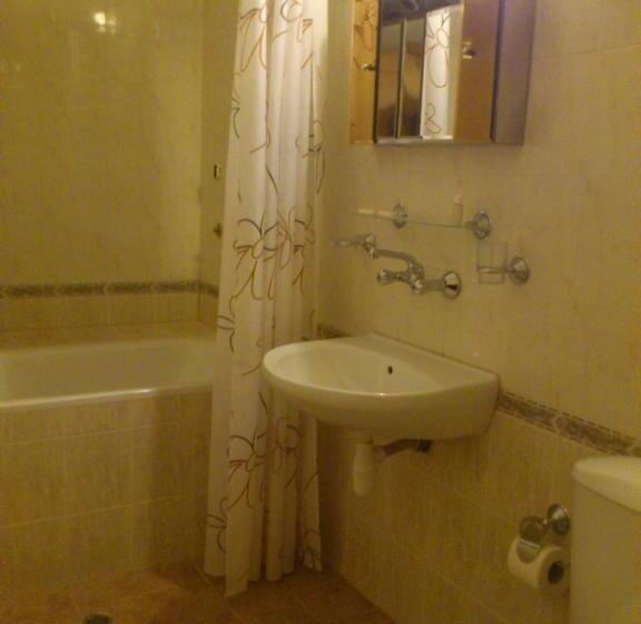 ホテル Yagodina Family