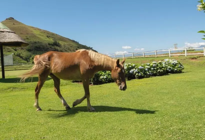 Little Switzerland Resort By Dream Resorts