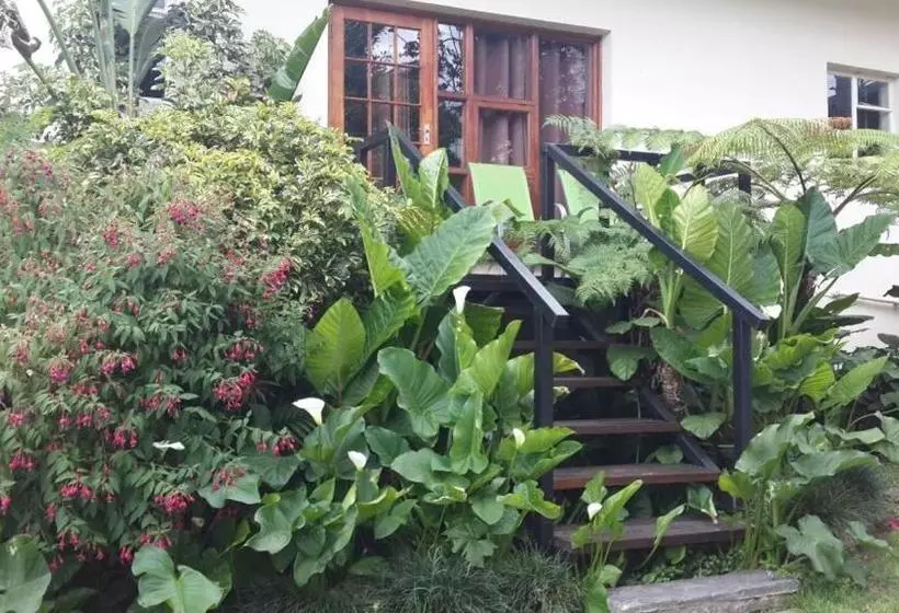ペンション Aloma House