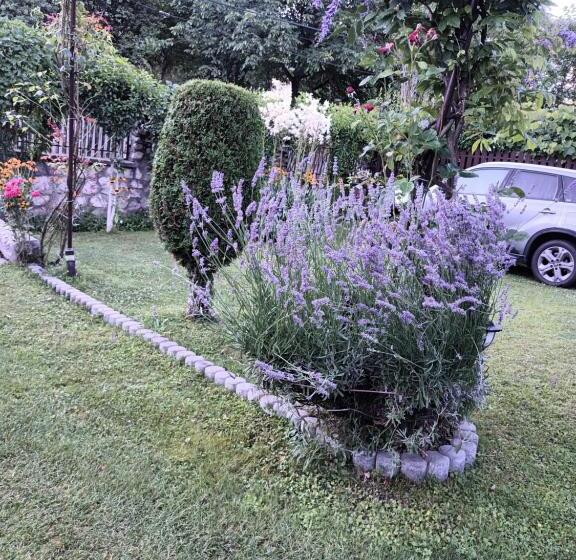 پانسیون Casa Bunicii