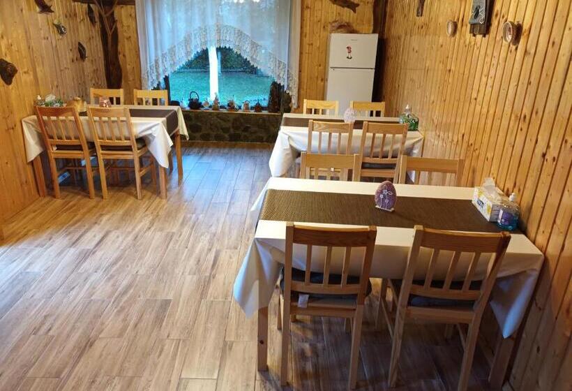 پانسیون Casa Bunicii