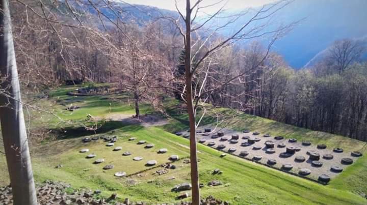 پانسیون Casa Bunicii