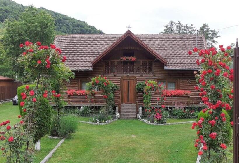 پانسیون Casa Bunicii