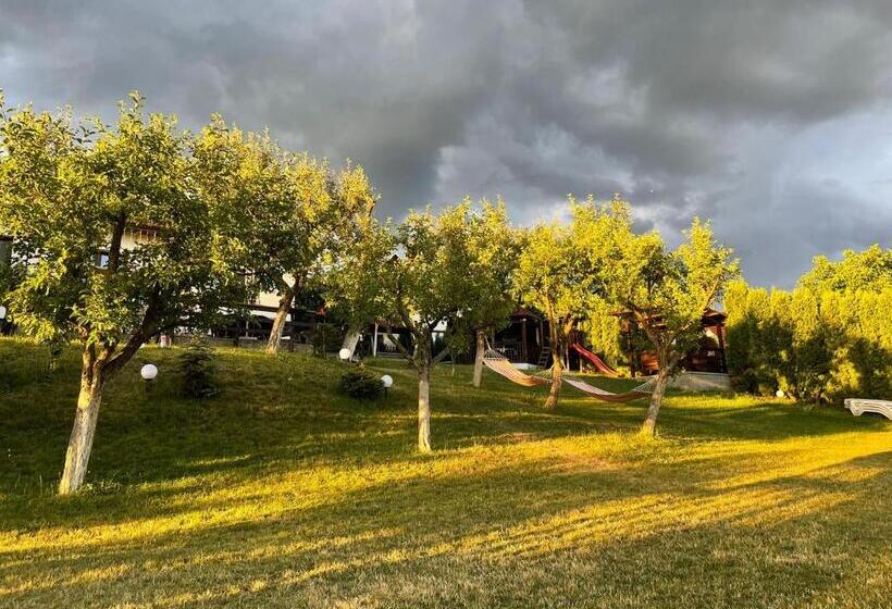 پانسیون Cazare Colibita Casa Lipan