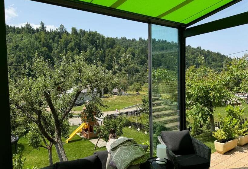 پانسیون Cazare Colibita Casa Lipan