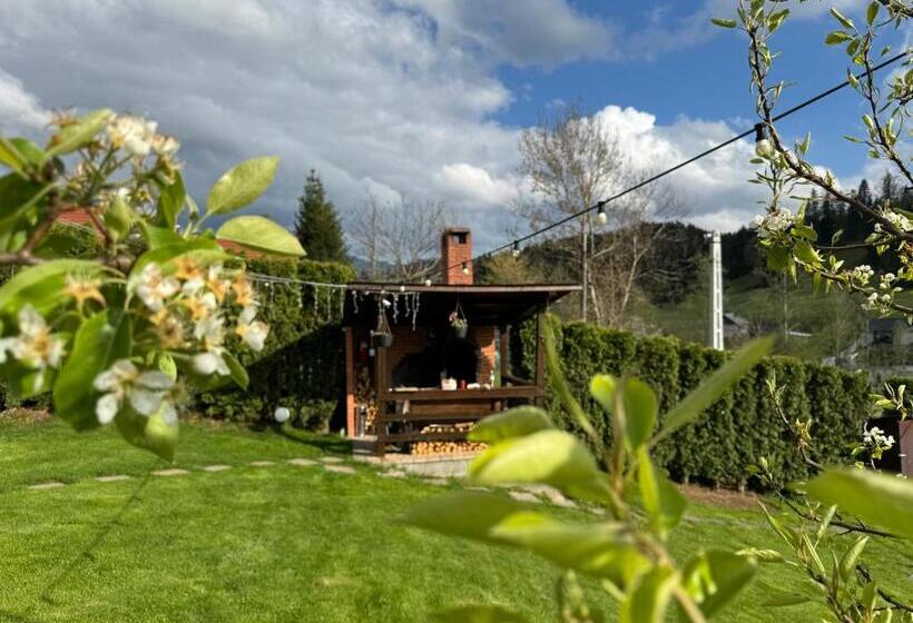 پانسیون Cazare Colibita Casa Lipan