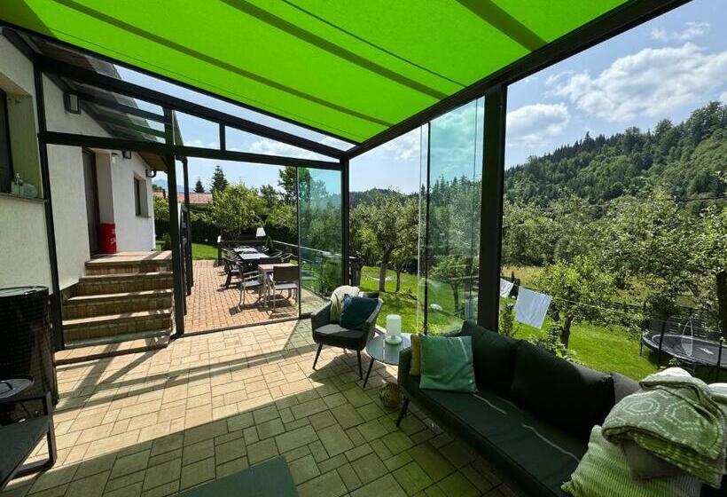 پانسیون Cazare Colibita Casa Lipan