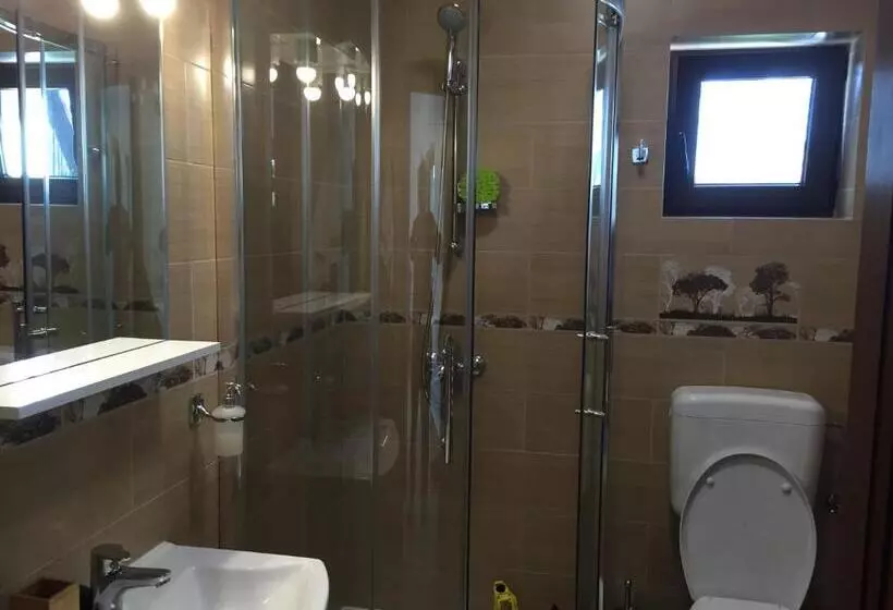 ペンション Cazare Colibita Casa Lipan