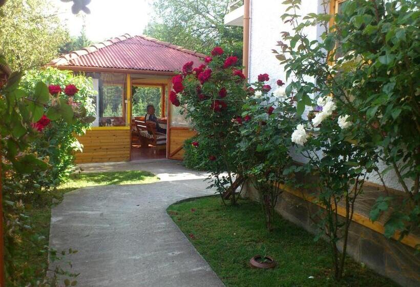 פנסיון Guest House Stoletnika