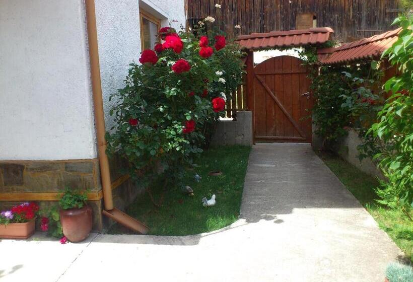 פנסיון Guest House Stoletnika