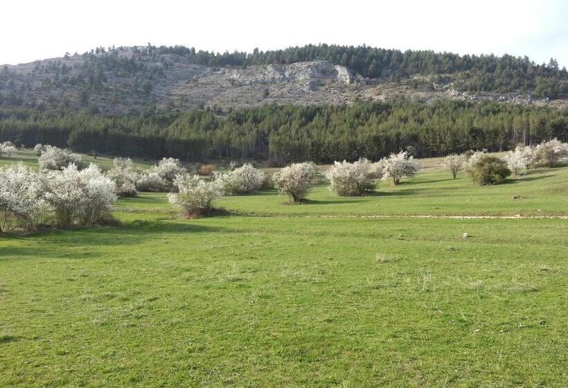 פנסיון Guest House Stoletnika