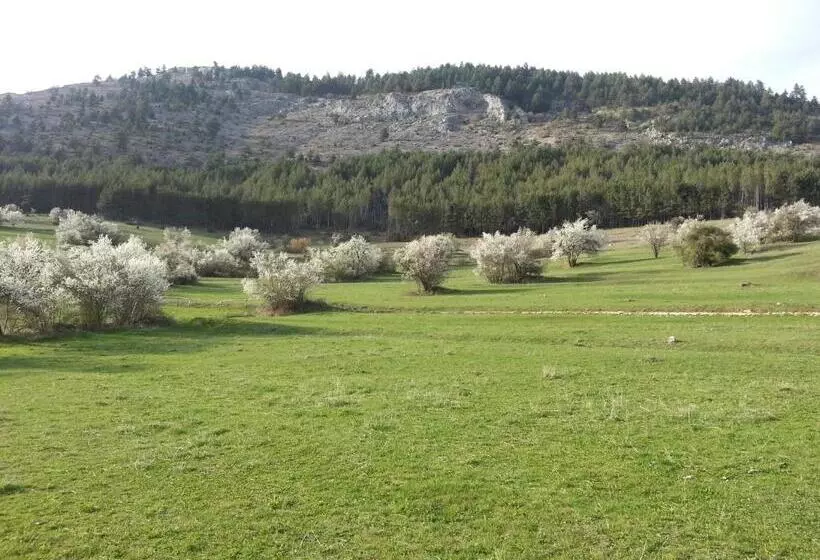 ペンション Guest House Stoletnika