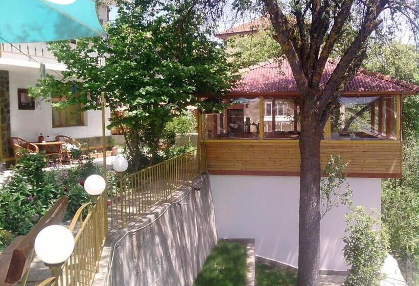 פנסיון Guest House Stoletnika