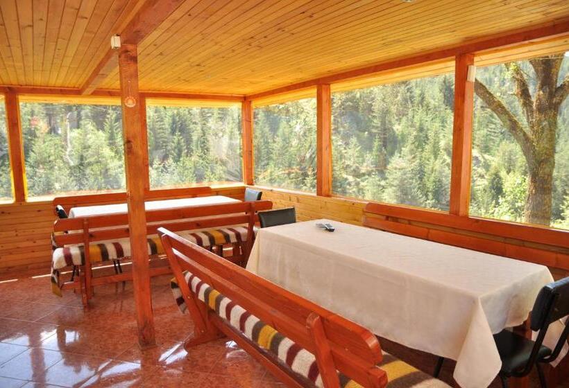 פנסיון Guest House Stoletnika