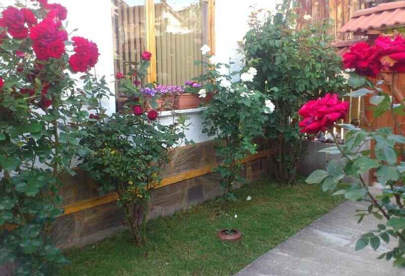 פנסיון Guest House Stoletnika