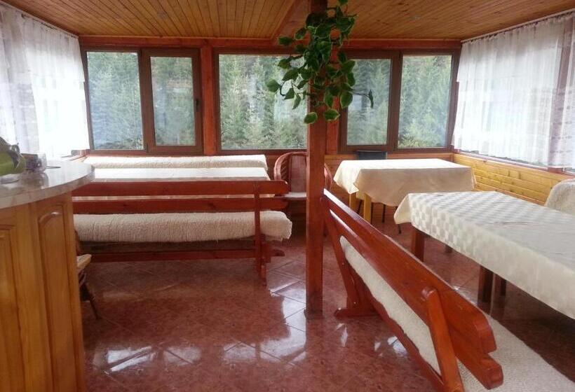 פנסיון Guest House Stoletnika