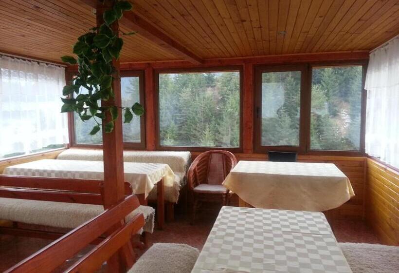 פנסיון Guest House Stoletnika