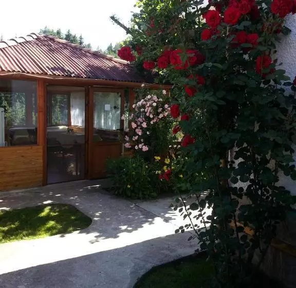 ペンション Guest House Stoletnika