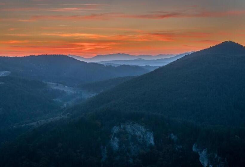 פנסיון Guest House Stoletnika