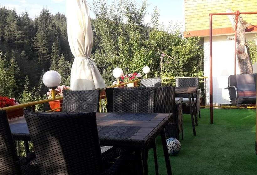 פנסיון Guest House Stoletnika