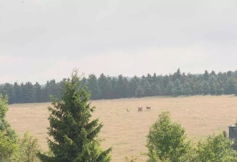 Majatalo Penzion Hájovna