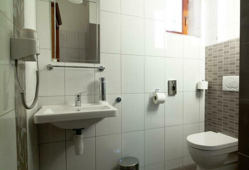 פנסיון Penzion Reichova Vila