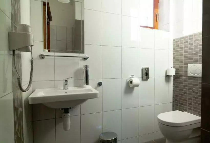 ペンション Penzion Reichova Vila