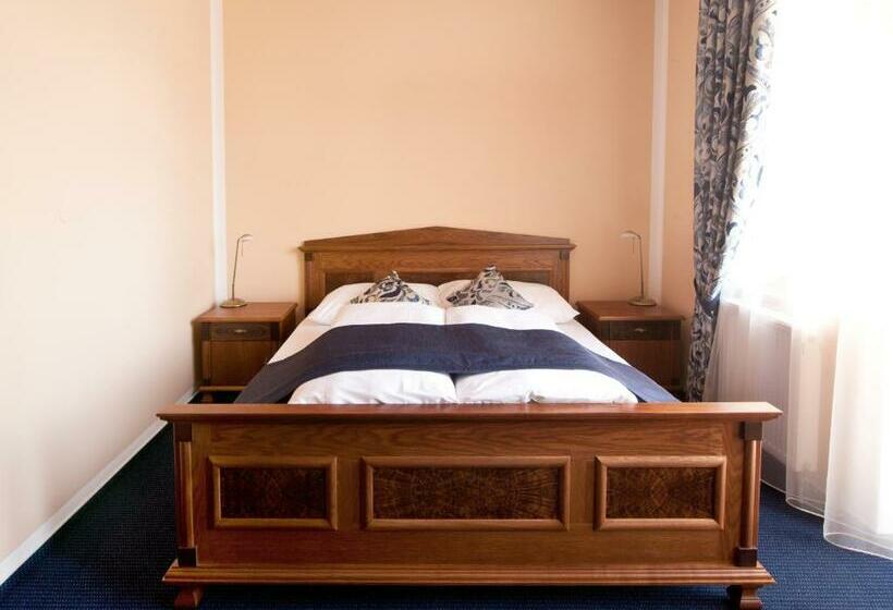 פנסיון Penzion Reichova Vila