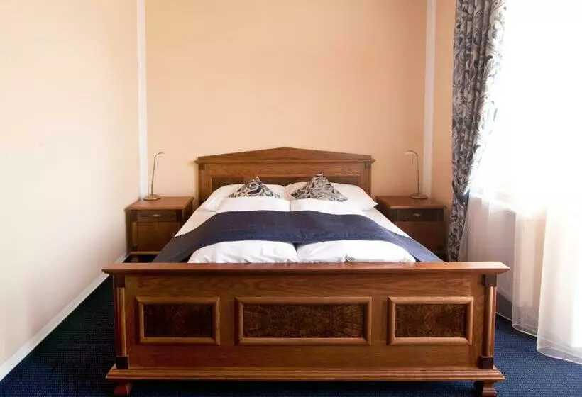 ペンション Penzion Reichova Vila