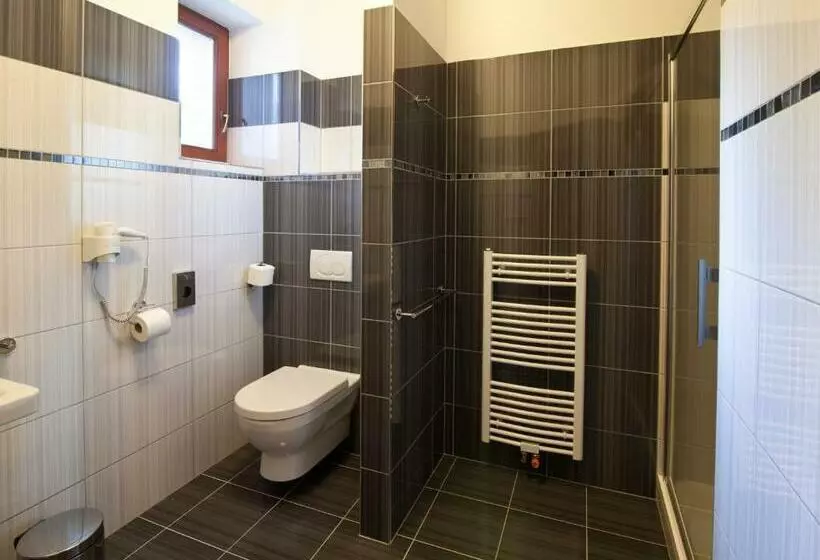 ペンション Penzion Reichova Vila