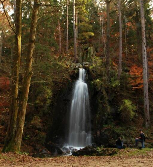 פנסיון Penzion U Lípy