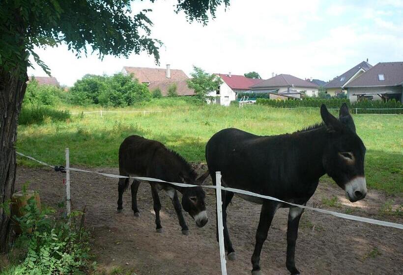 Пансион Penzion U štoly