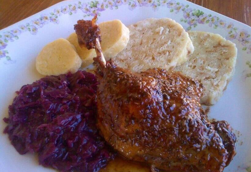 פנסיון Penzion V Polích