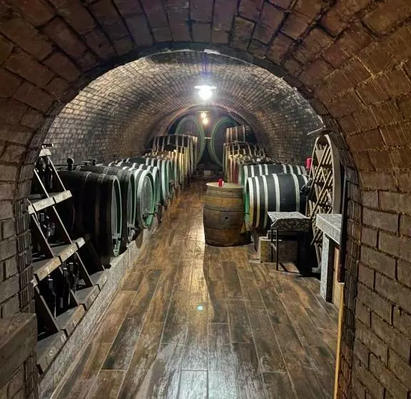 ペンション Penzion   Vinařství Hanuš