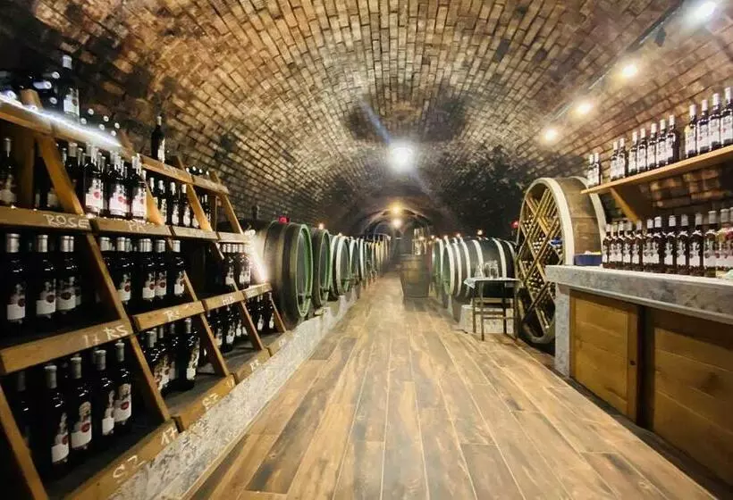 ペンション Penzion   Vinařství Hanuš