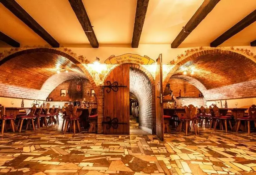 ペンション Penzion   Vinařství Hanuš