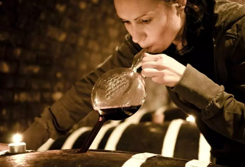 ペンション Penzion   Vinařství Hanuš