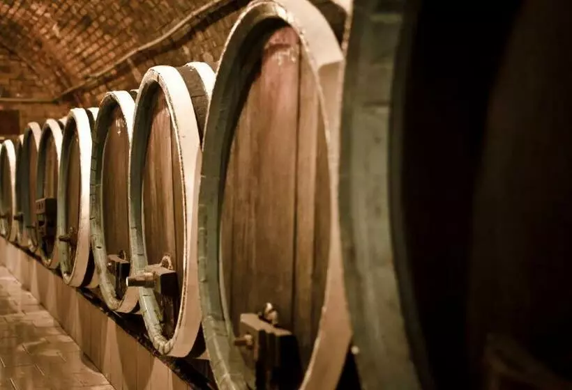 ペンション Penzion   Vinařství Hanuš