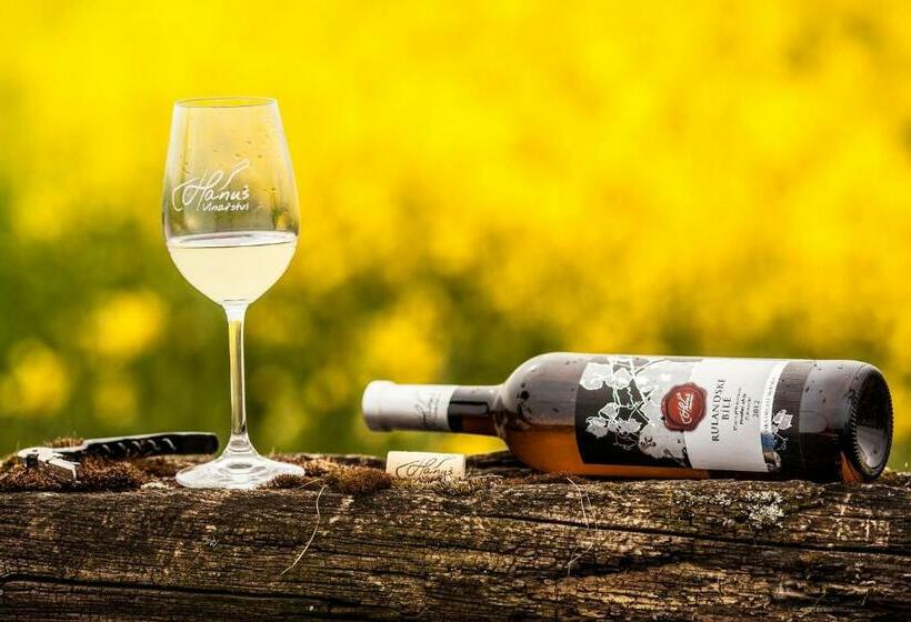 Пансион Penzion   Vinařství Hanuš