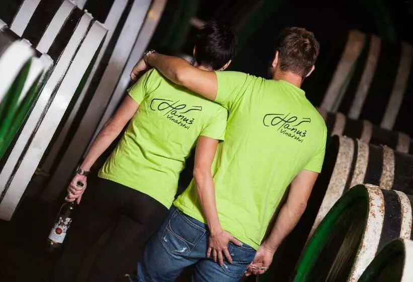 ペンション Penzion   Vinařství Hanuš