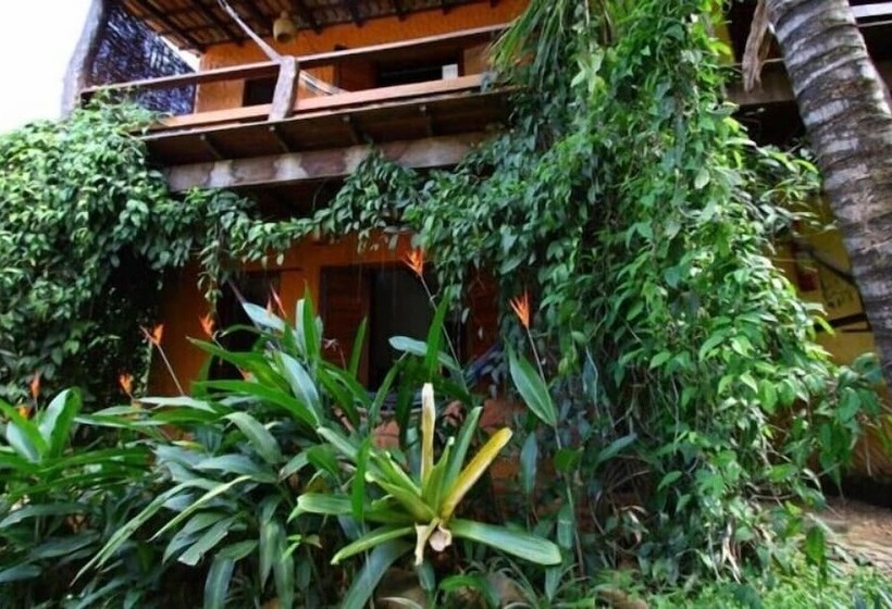 پانسیون Pousada Bambu Brasil